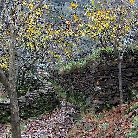 Sabores Hurdanos Apartman *