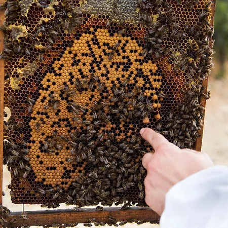 Apartman Sabores Hurdanos Las Mestas