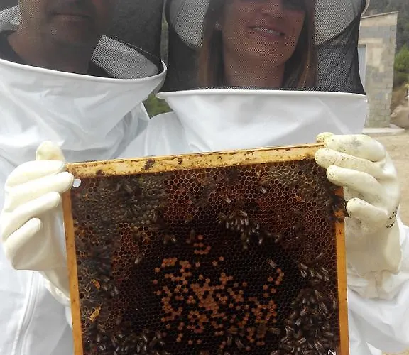 Sabores Hurdanos Apartment